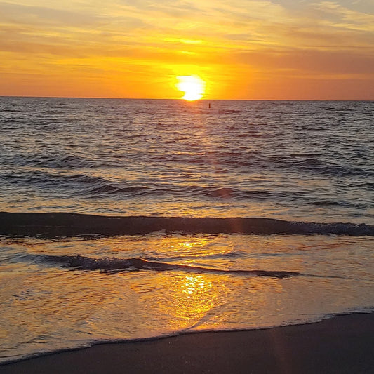 Let's Fall into Winter and Soldier On