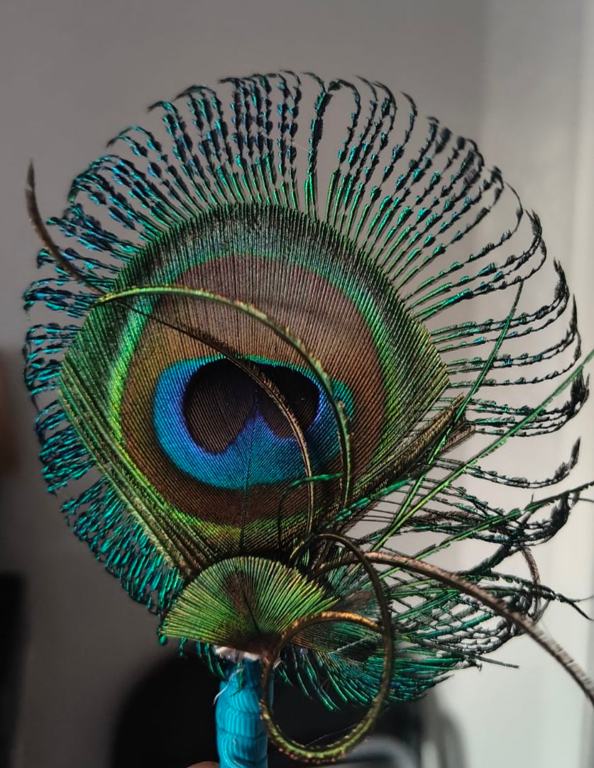 Originals Collection and Peacock Primpery