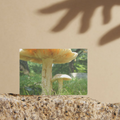 "Me and My Shadow" LAHall Artworks Art Photography Prints | Shroom Life