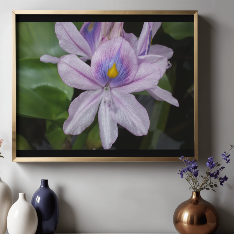 "Light of the Iris" LAHall Artworks Art Photography Prints | Floral Life