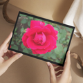 "Lights, Camera, Action" LAHall Artworks Art Photography Prints | Floral Life