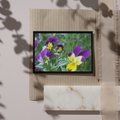 "Shy" LAHall Artworks Art Photography Prints | Floral Life