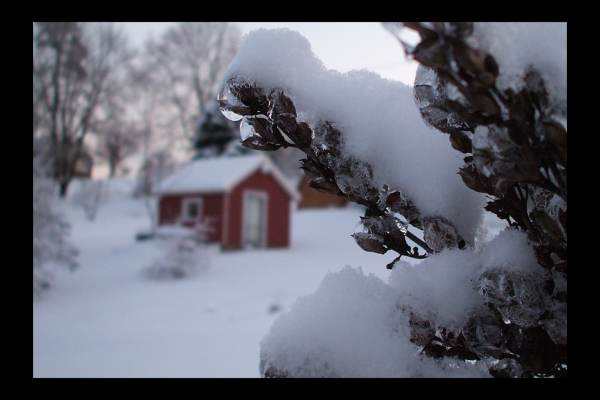 "Cabin in the Woods" LAHall Artworks Art Photography Prints | Winter Scenes