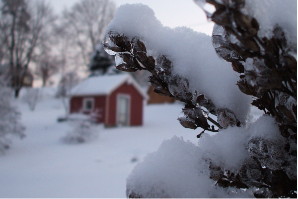 "Cabin in the Woods" LAHall Artworks Art Photography Prints | Winter Scenes