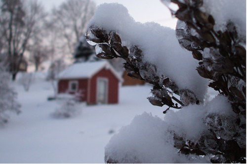 "Cabin in the Woods" LAHall Artworks Art Photography Prints | Winter Scenes