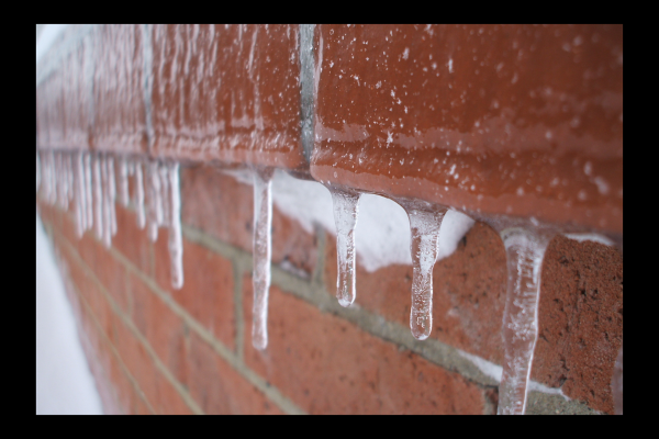 "Winter's Glass" LAHall Artworks Art Photography Prints | Winter Life